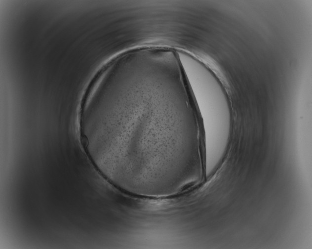 X0000089701288200707121347