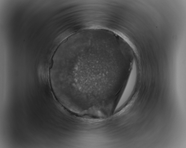 X0000089701289200707121347