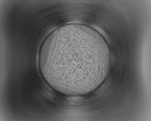 X0000089701290200707121347