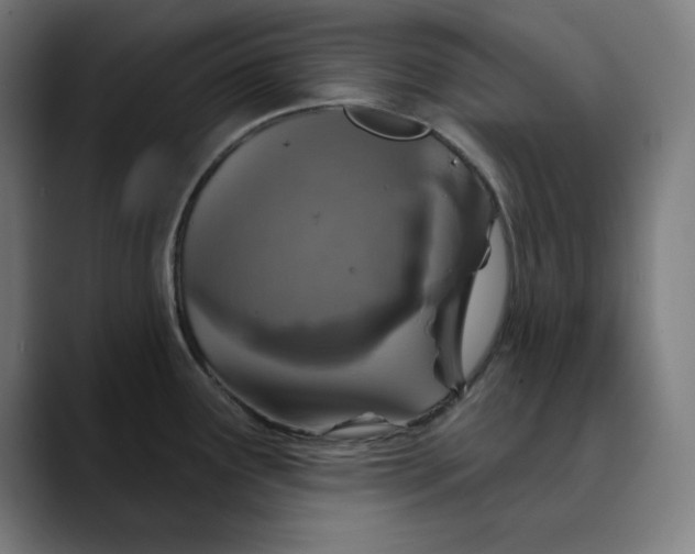 X0000089701291200707121347