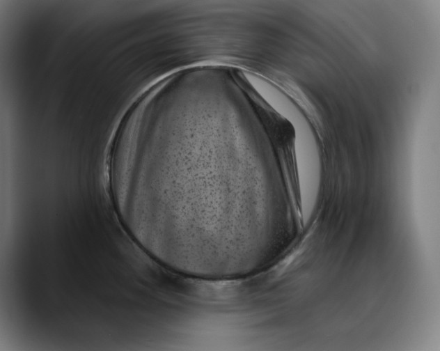 X0000089701292200707121347