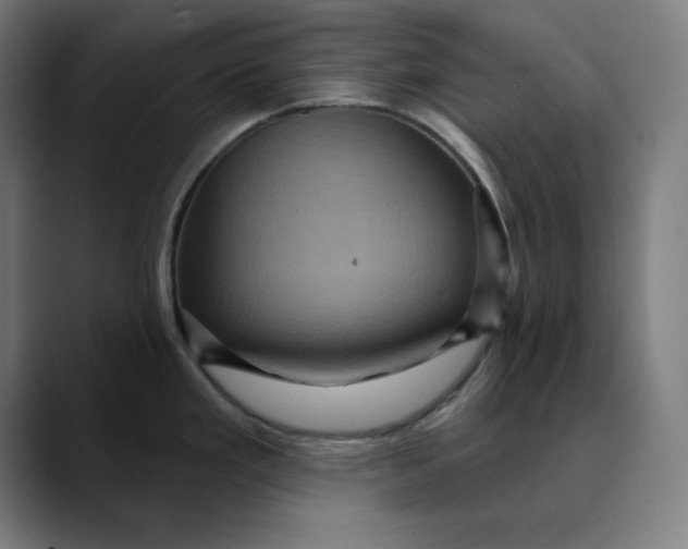 X0000089701293200707121347