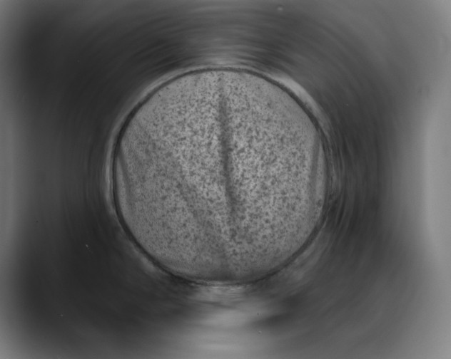 X0000089701294200707121347