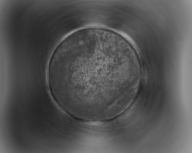 X0000089701295200707121347