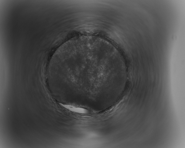 X0000089701297200707121347