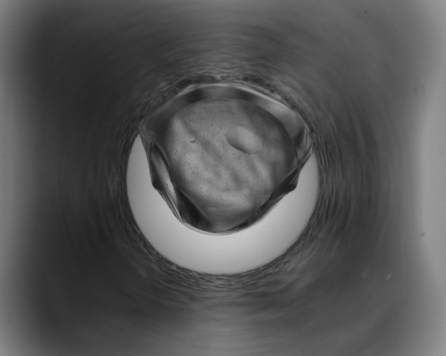 X0000089701298200707121347