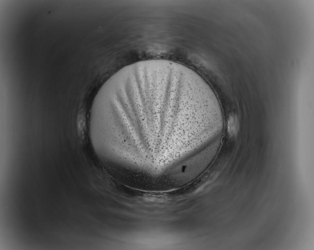 X0000089701299200707121347