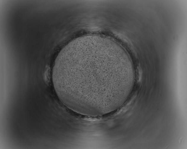 X0000089701301200707121347