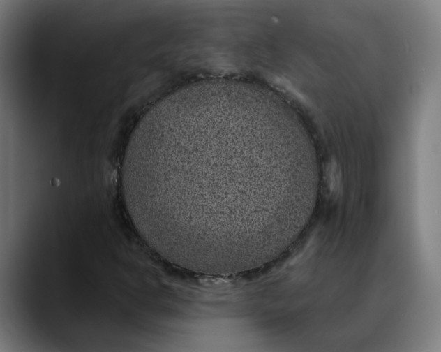 X0000089701302200707121347