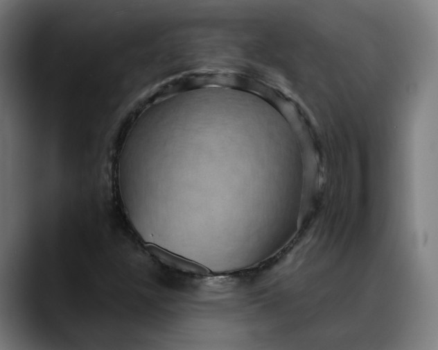 X0000089701304200707121347