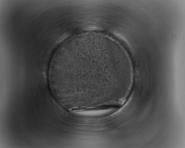 X0000089701305200707121347