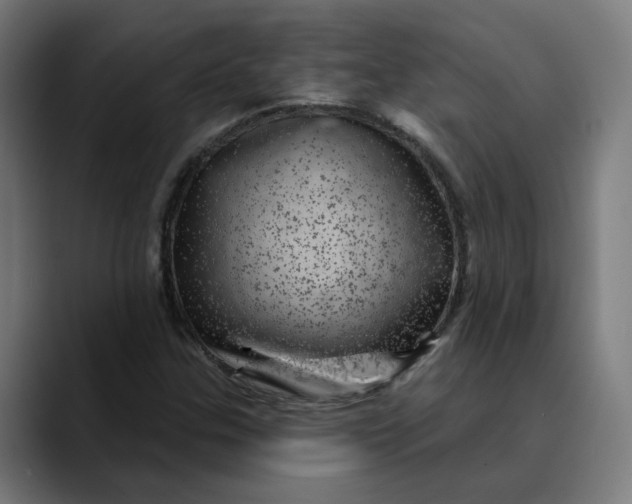 X0000089701307200707121347