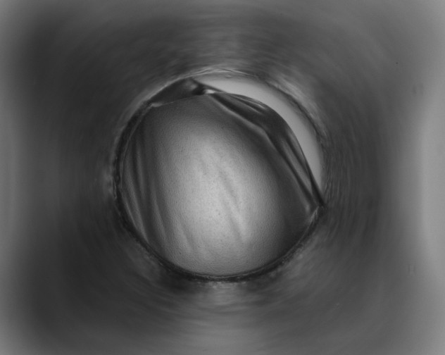 X0000089701308200707121347