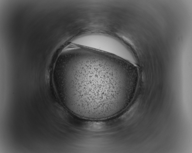 X0000089701309200707121347