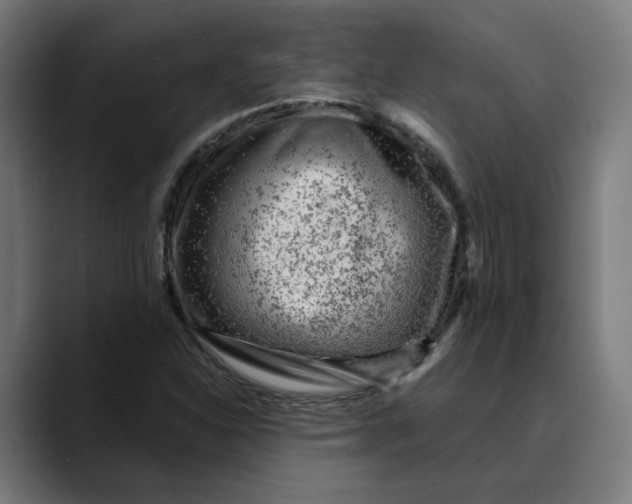 X0000089701310200707121347