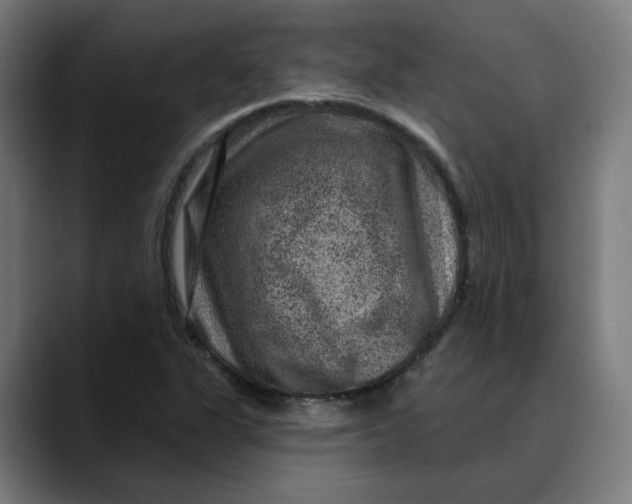 X0000089701311200707121347