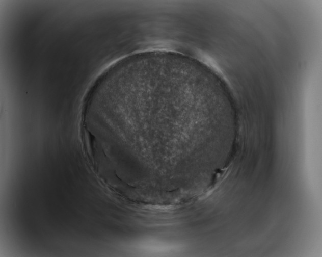 X0000089701312200707121347