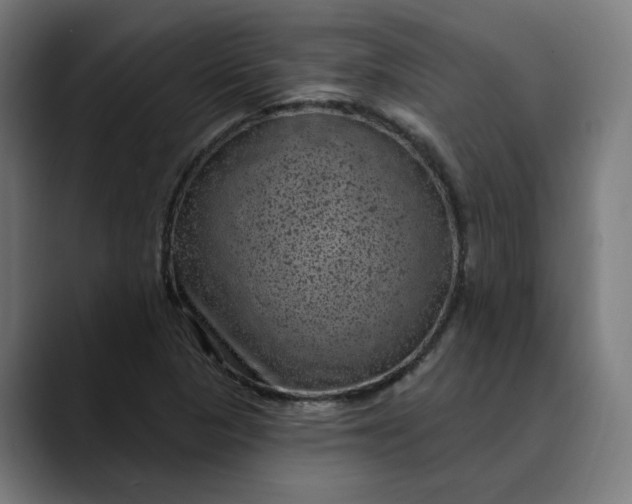 X0000089701313200707121347