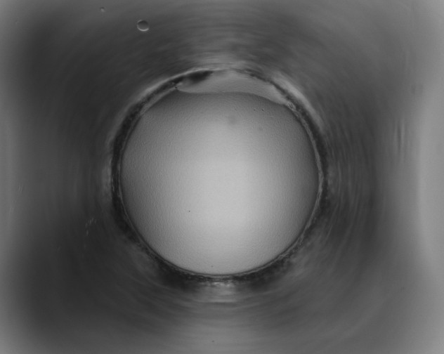 X0000089701315200707121347