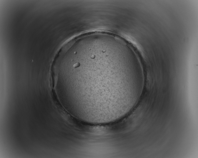 X0000089701316200707121347