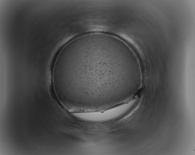 X0000089701317200707121347