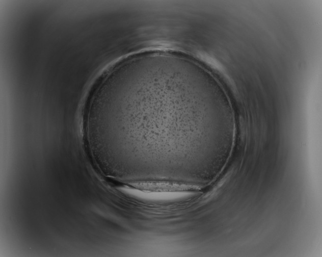 X0000089701318200707121347