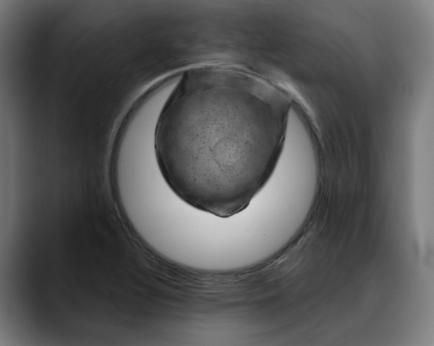 X0000089701320200707121347