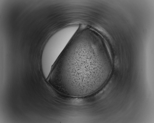 X0000089701321200707121347