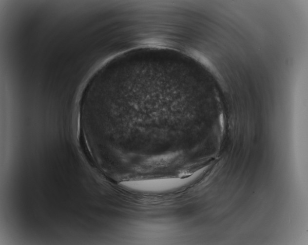 X0000089701323200707121347