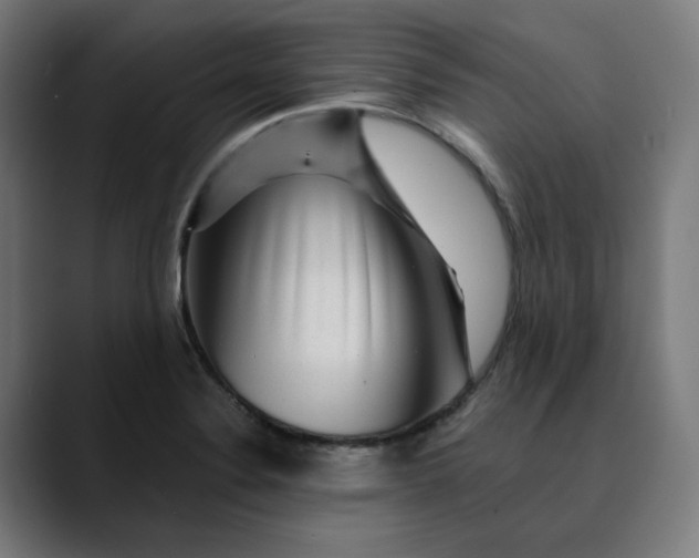 X0000089701324200707121347