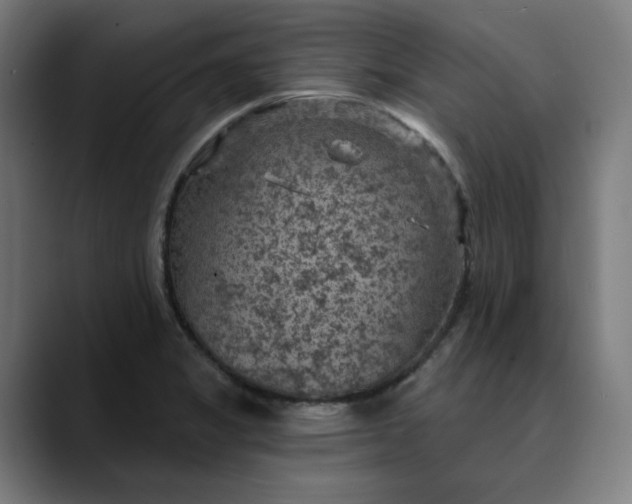 X0000089701325200707121347