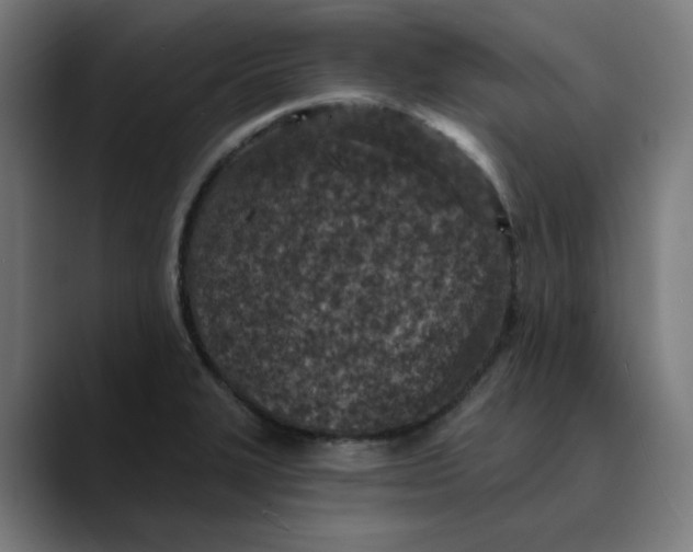 X0000089701327200707121347