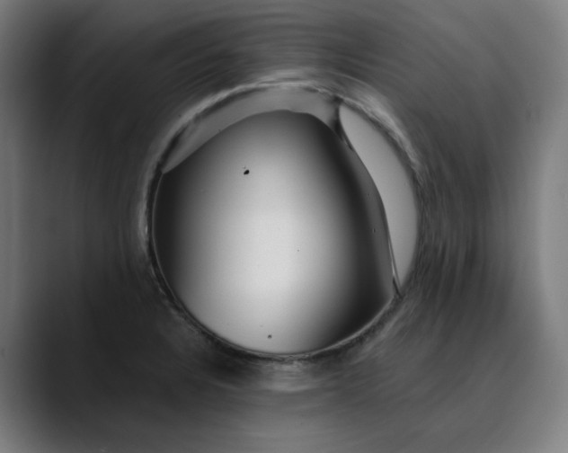 X0000089701328200707121347