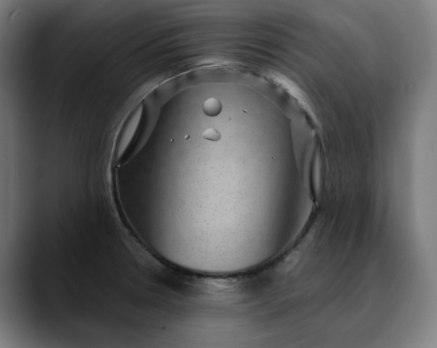 X0000089701330200707121347