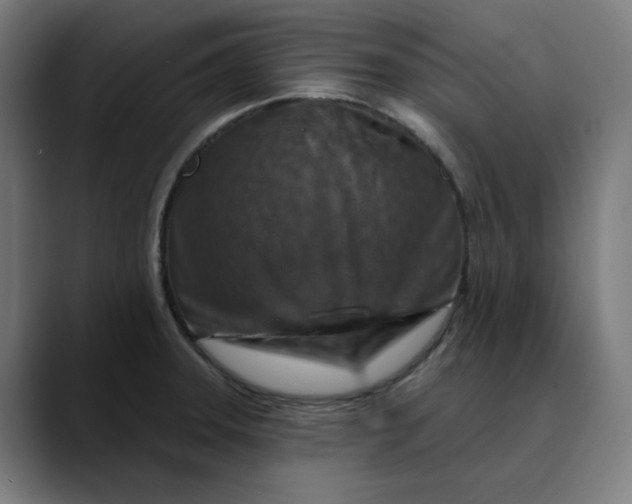 X0000089701331200707121347