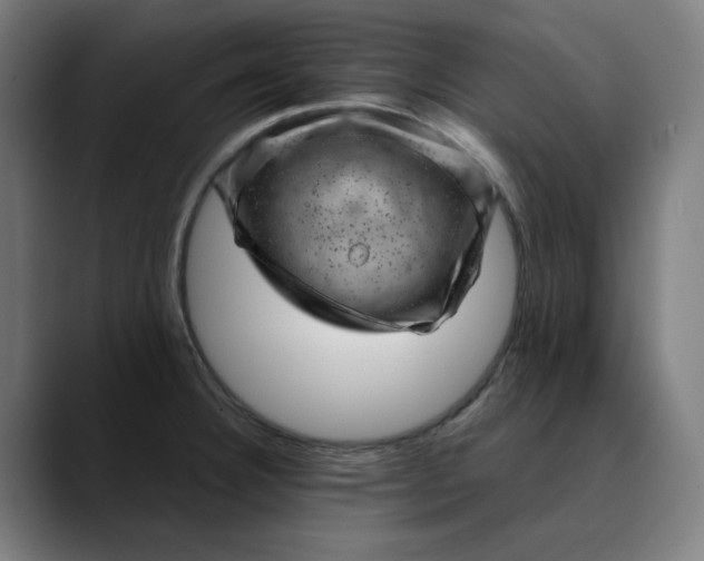 X0000089701332200707121347