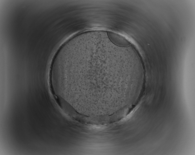 X0000089701333200707121347