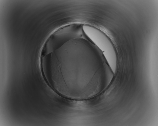 X0000089701334200707121347