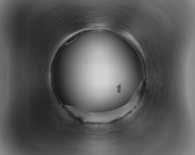 X0000089701336200707121347