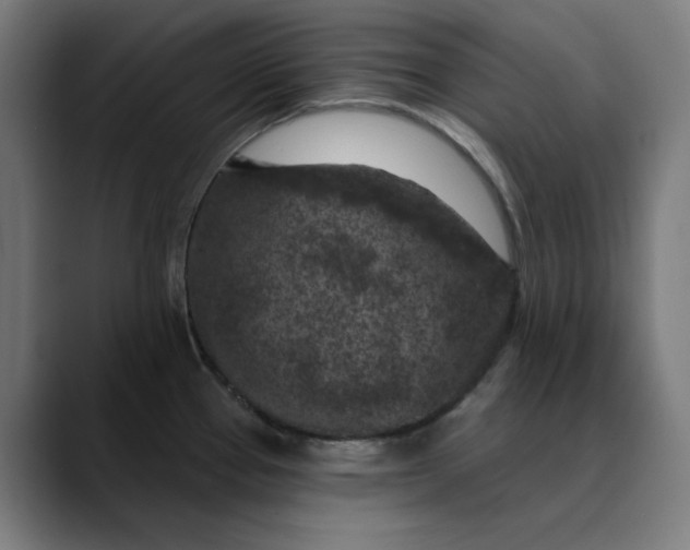 X0000089701337200707121347