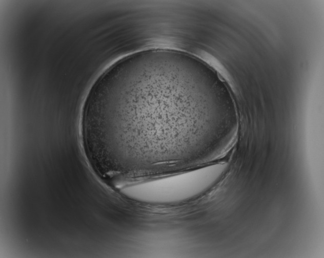 X0000089701339200707121347