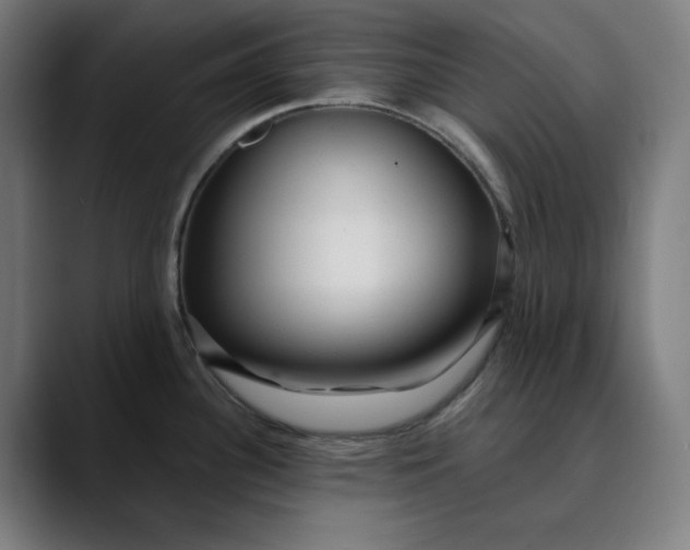 X0000089701340200707121347