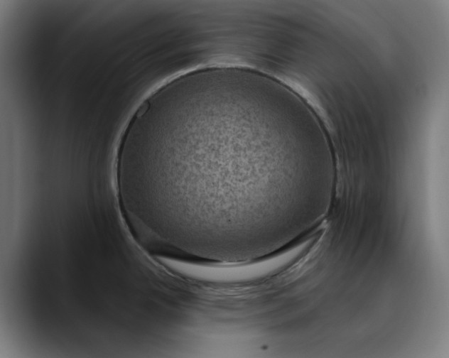 X0000089701342200707121347