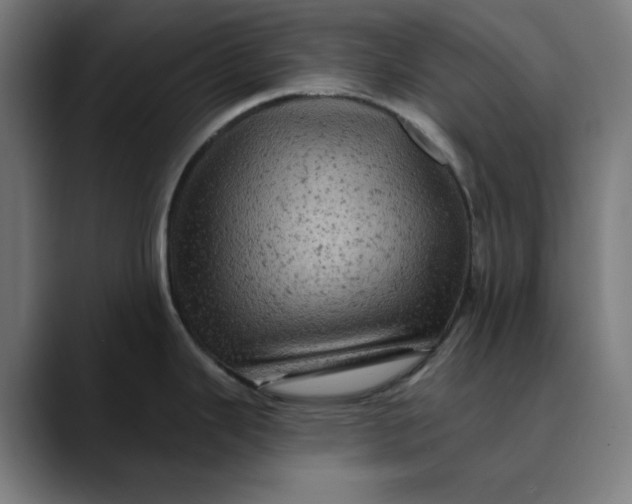 X0000089701343200707121347