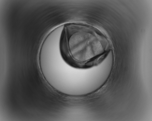 X0000089701344200707121347