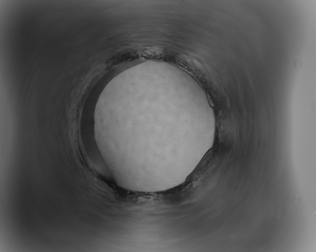 X0000089701345200707121347