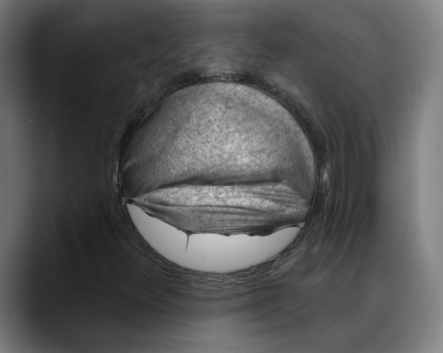 X0000089701348200707121346