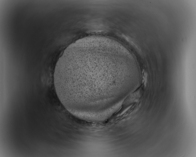 X0000089701350200707121346