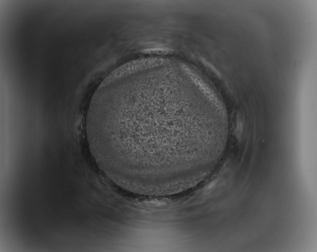 X0000089701351200707121346