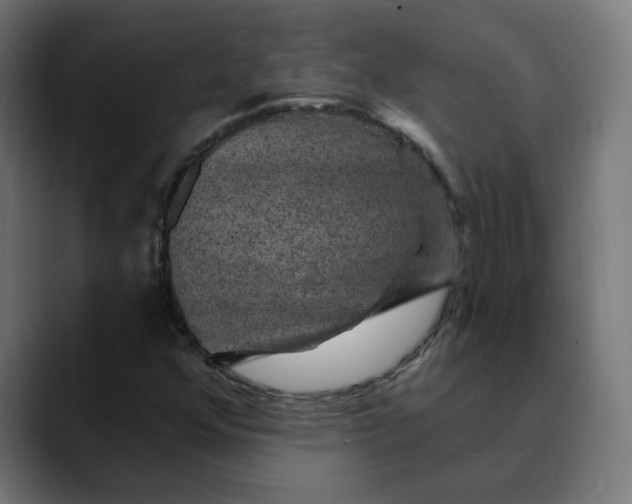 X0000089701352200707121346